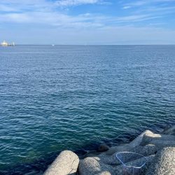 タモが使いたい