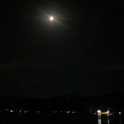 タチウオandカサゴ