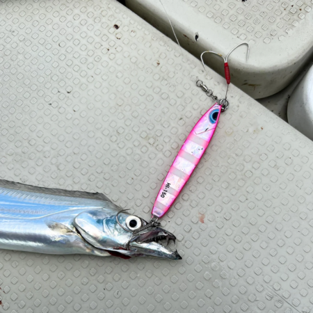 サワラ/ブレードジギング&タチウオ…