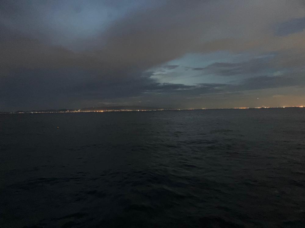 今シーズン初タチウオ