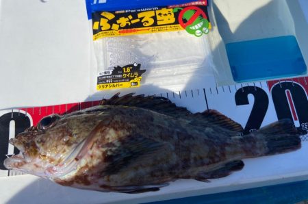 ちょい投げシロギスタのガッシーチャレンジ