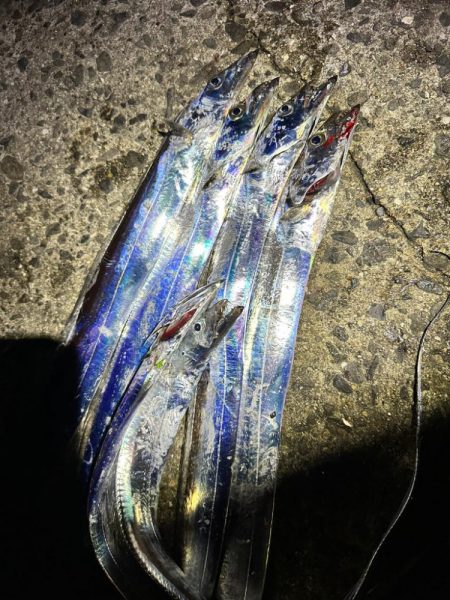 岬町タチウオゲーム