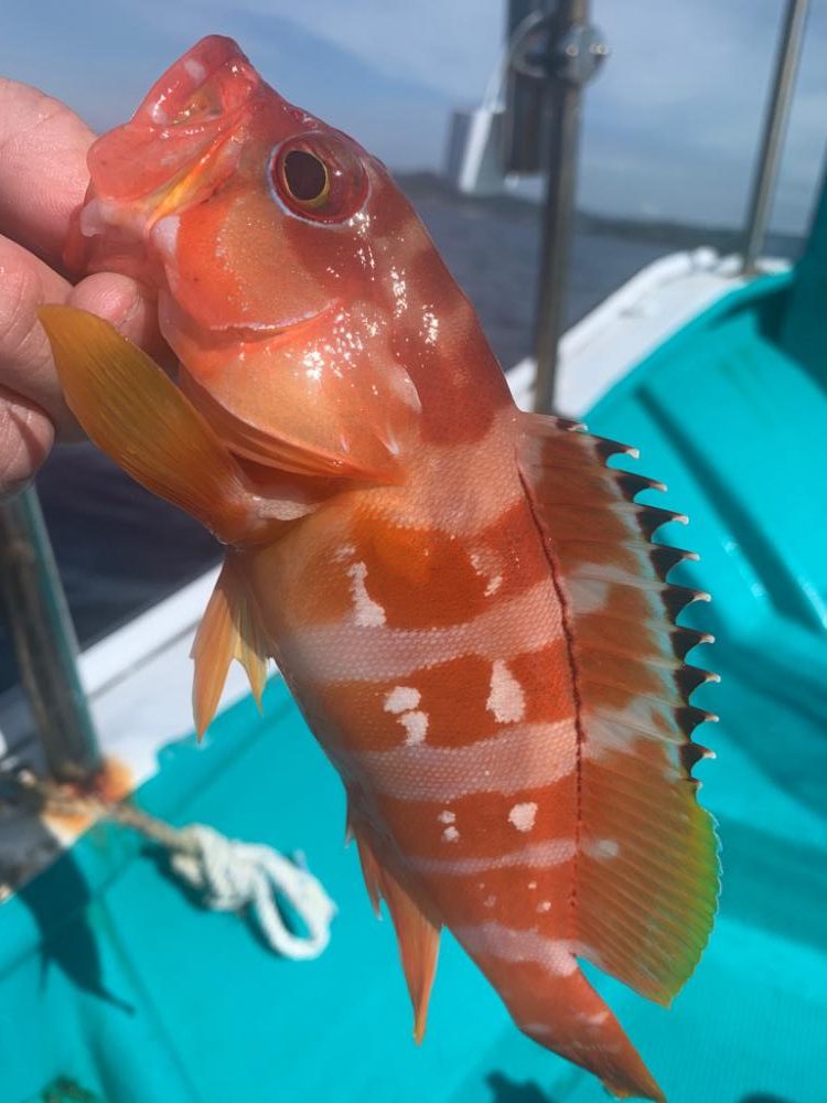 初めてづくしでしたー！