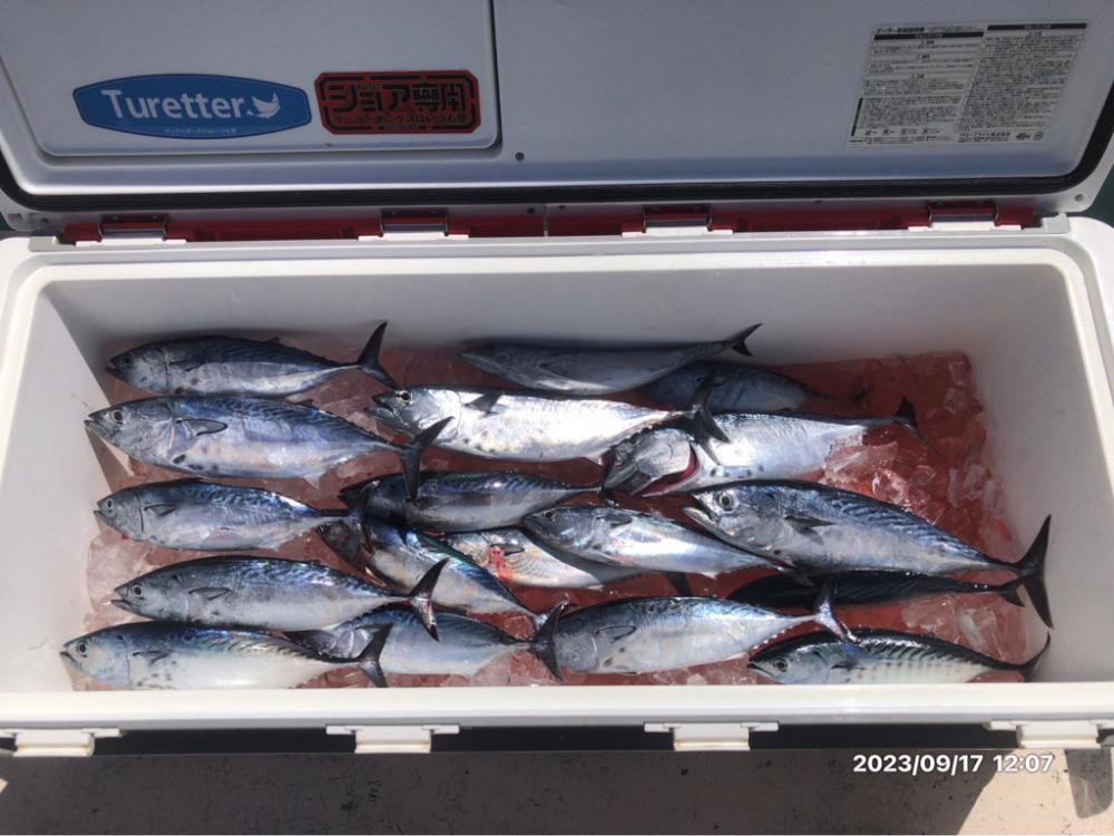 9/17 伊島沖ジギングタイラバ　橘湾ティップラン