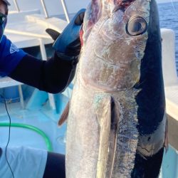 初スロジギでマグロ！？