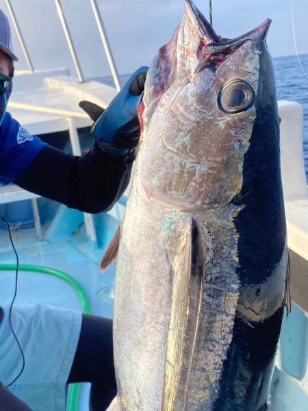 初スロジギでマグロ！？