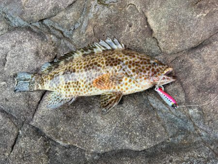 苦しい時のジャックアイTGスイム