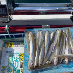 ワカサギ釣り