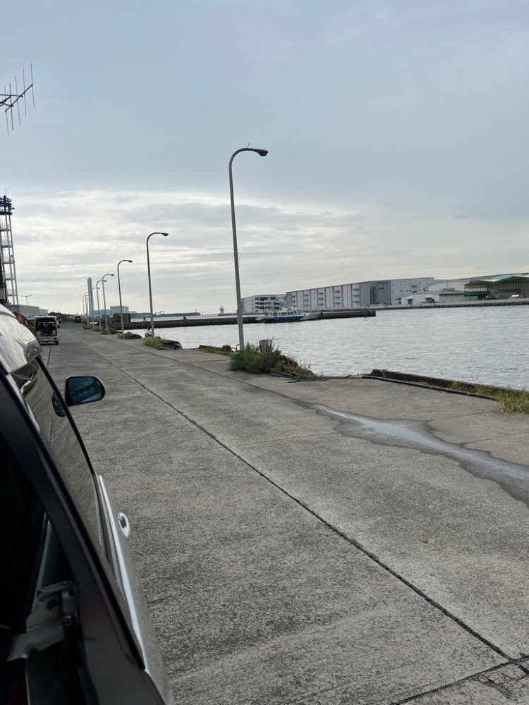 なんとか釣れた