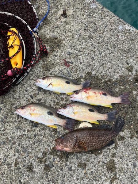 エビ撒き五目釣り