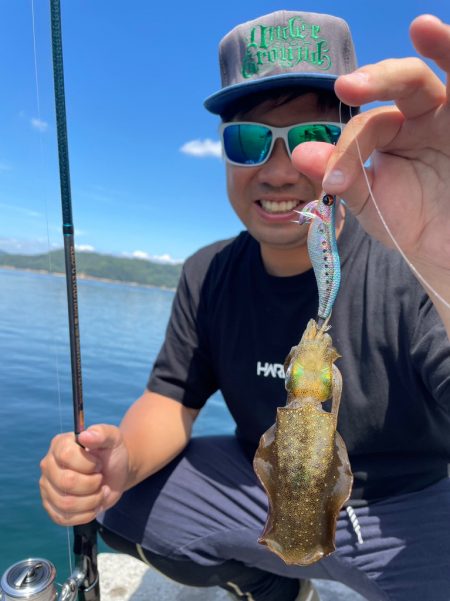 ランガンエギング