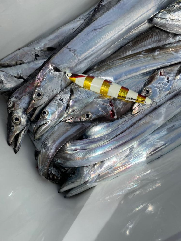 タチウオジギング