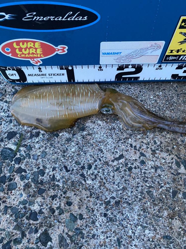 今シーズンの流行カラーは？