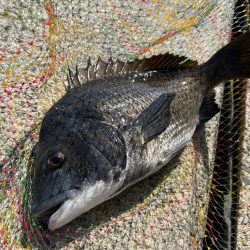 そろそろフカセ釣り始動