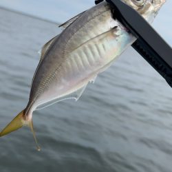 デイアジング♪