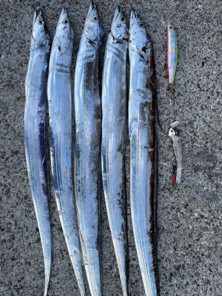 こだわりの結果。