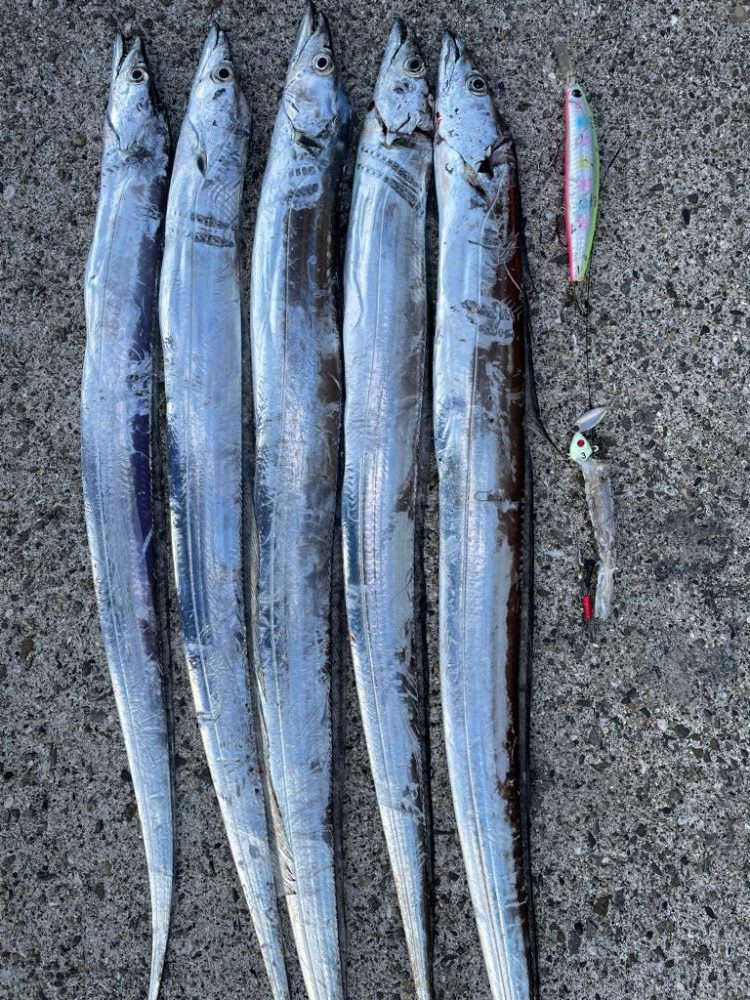 こだわりの結果。