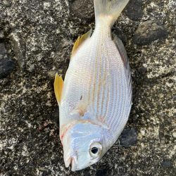 仲間と五目釣り