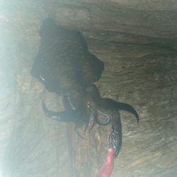 水平移動からの乗せ