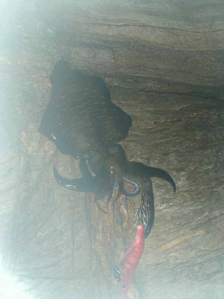 水平移動からの乗せ