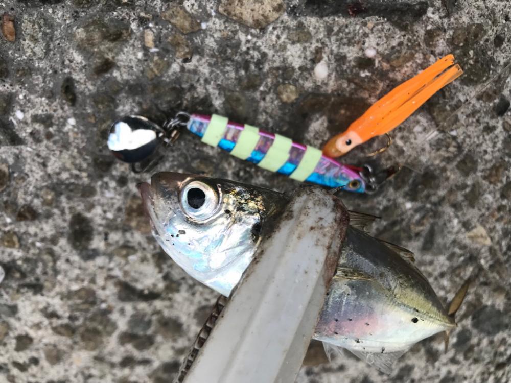 ジグサビキ 25
