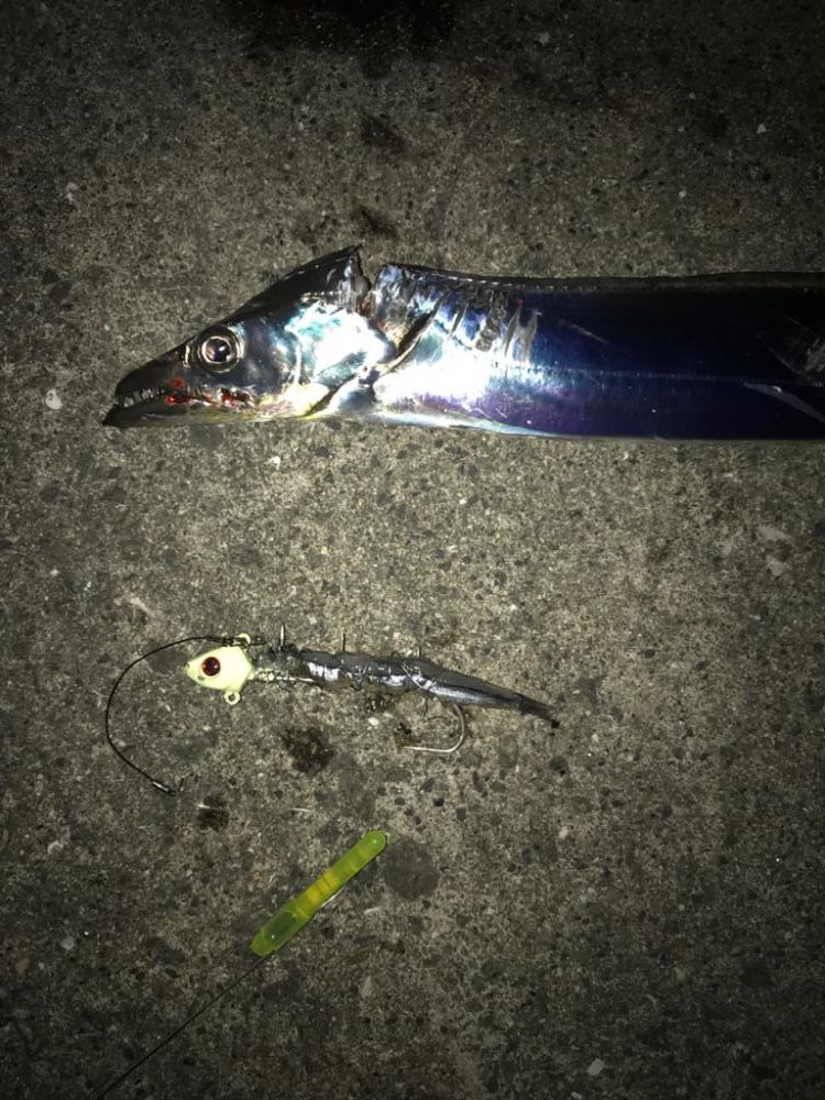 シーズン初タチ