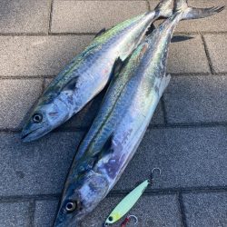 青牙ハットトリックならずマルチ。。