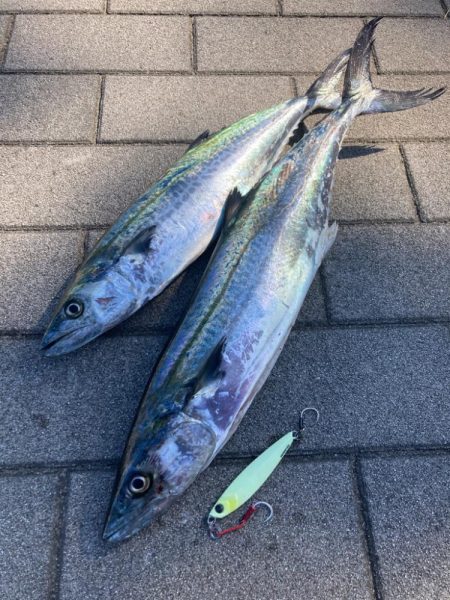 青牙ハットトリックならずマルチ。。