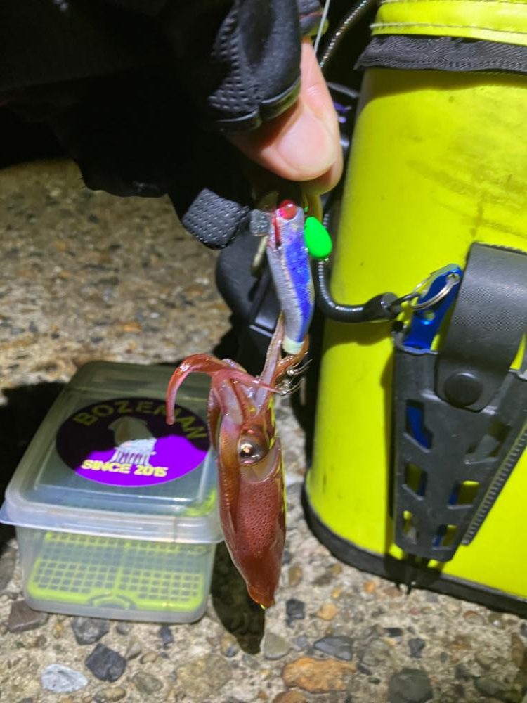 ケンサキ12日目^o^