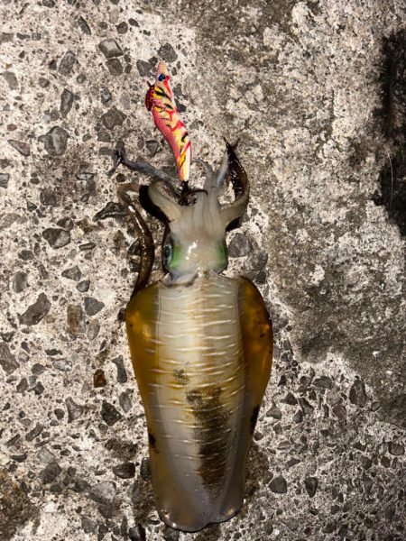 仕事終わり至福！