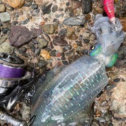 土日のリベンジに