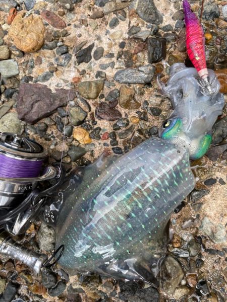 土日のリベンジに