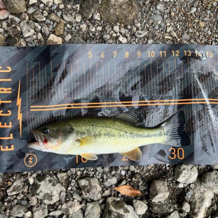 パターン発見💡