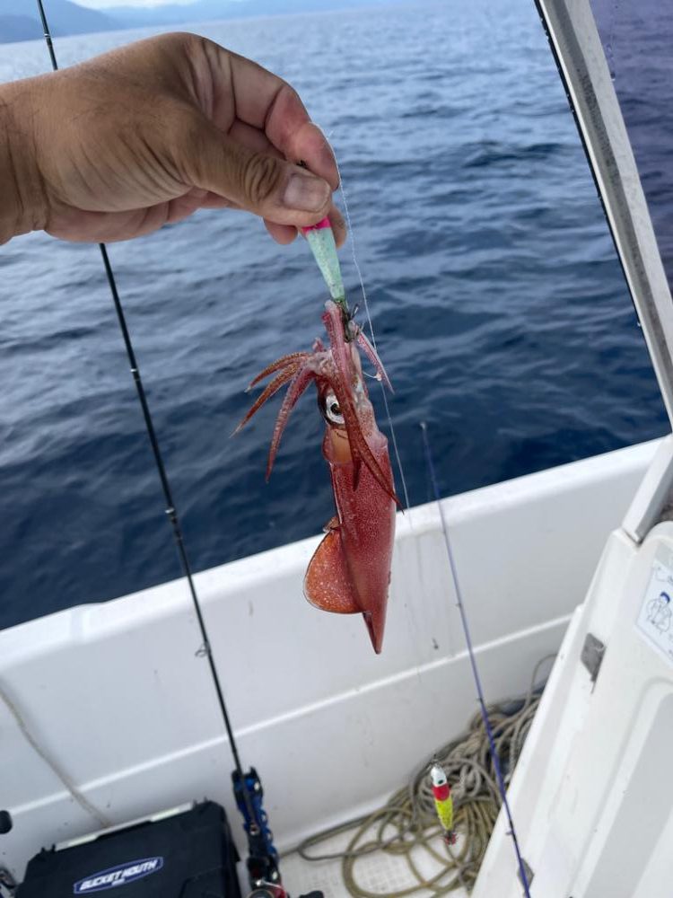 雨予報のマイボート出船