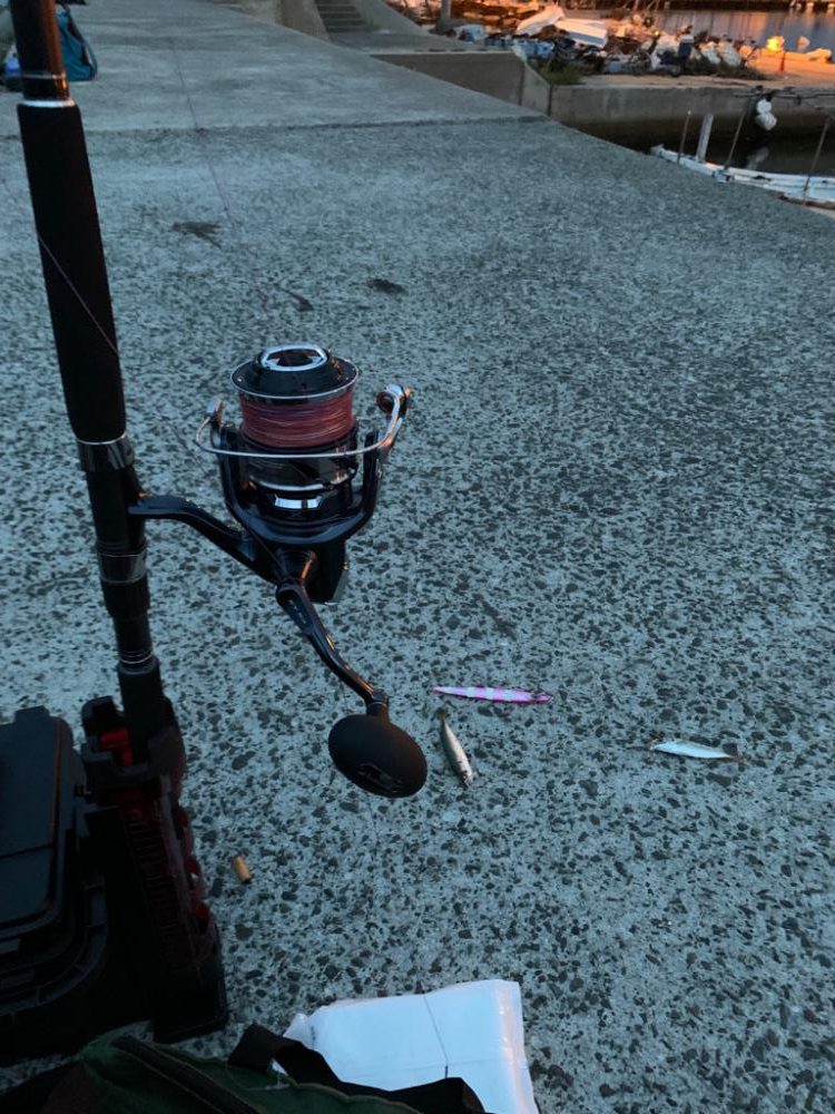 青物狙いだけど。。