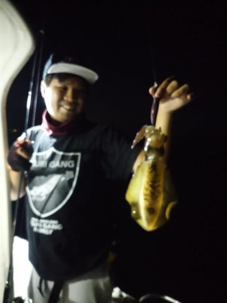 ナイトティップラン