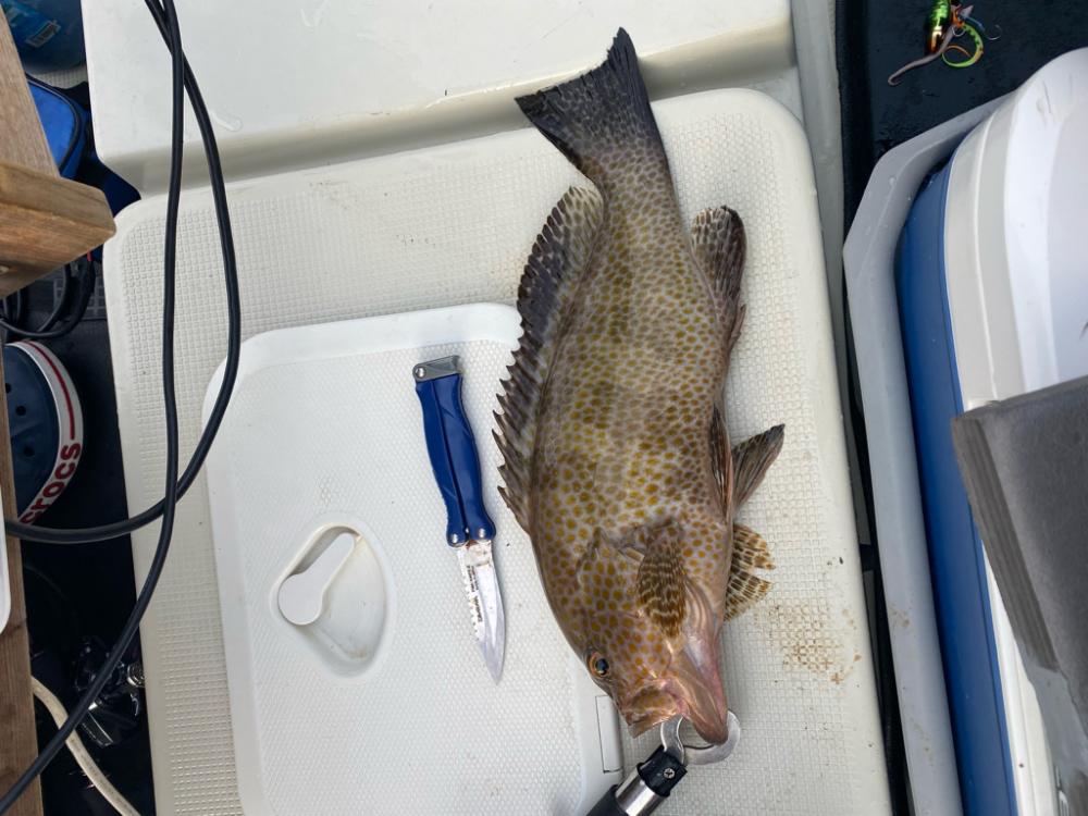 友人のプレジャーボート釣行