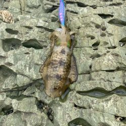 シュミレーション成功？失敗？どうなん