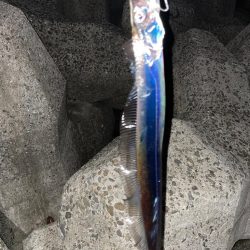 数を伸ばすために今後の課題。