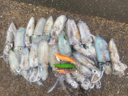 今年も早いし入れ食いだし