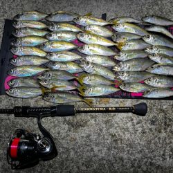 好釣果アジング