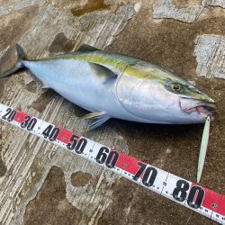 撃投ストライクでブリ