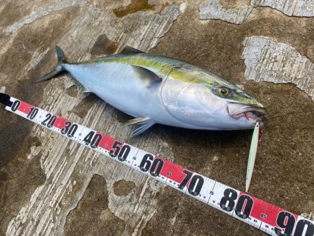 撃投ストライクでブリ