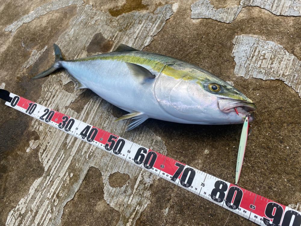 撃投ストライクでブリ