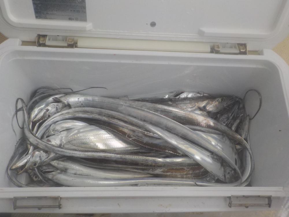 タチウオ開幕戦〜盛和丸〜