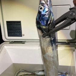 横風でやりにくい_(┐「ε:)_