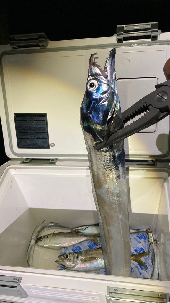 横風でやりにくい_(┐「ε:)_