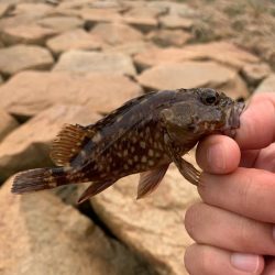 スーパー短時間釣行