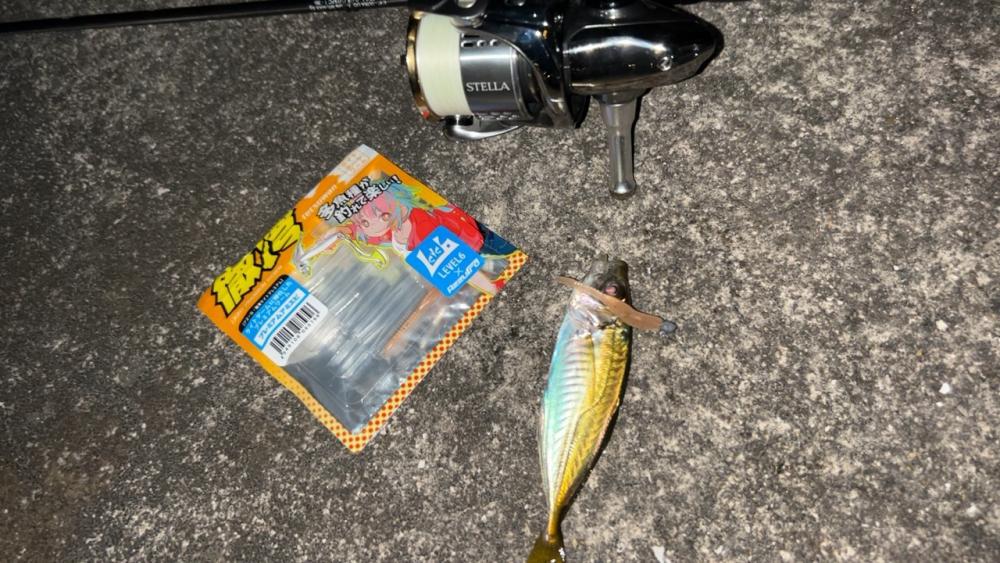 アズーロアンバサダーのお仕事