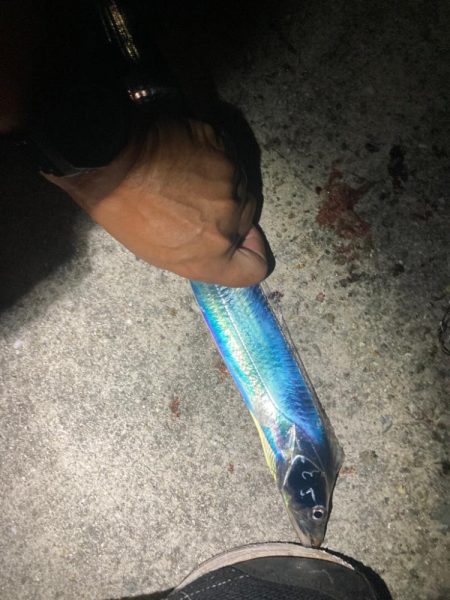 ⭐️ギンギラ釣…